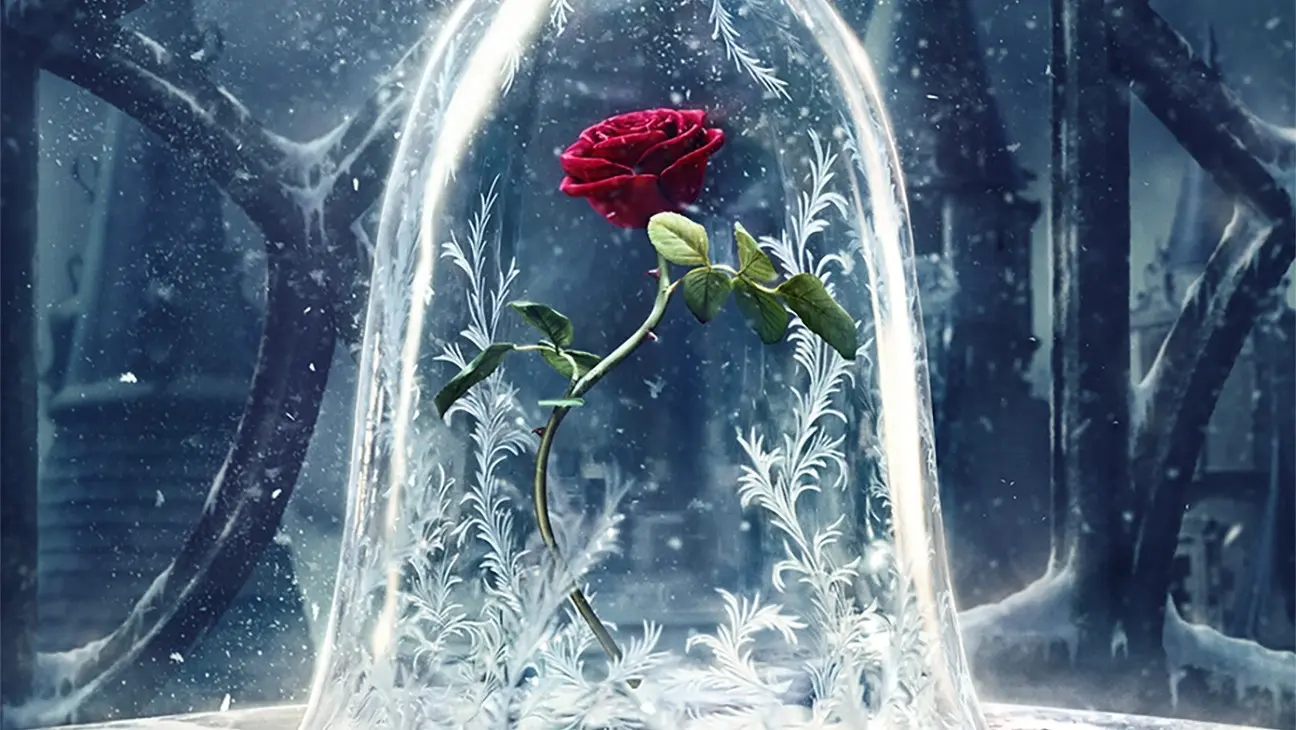 \Designing Your Beauty and the Beast Inspired Rose