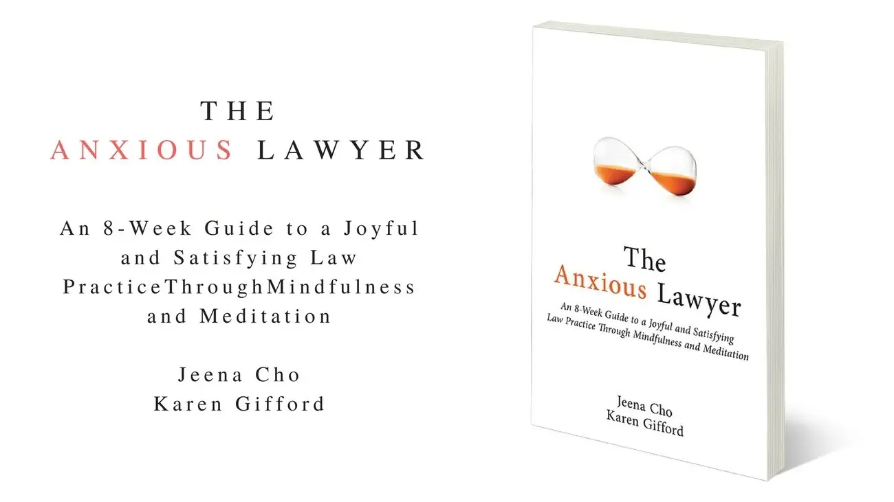 The Anxious Lawyer Book